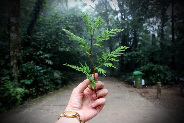Actualite Energie Verte