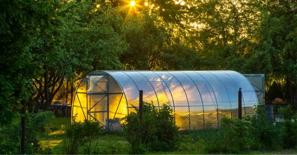 Comment choisir la taille idéale pour sa serre de jardin pour faire du bio ?