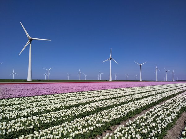 Quels sont les principes de fonctionnement et les avantages de l'énergie éolienne ?