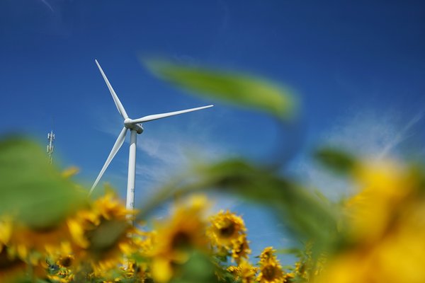 Comment installer et entretenir une éolienne ?