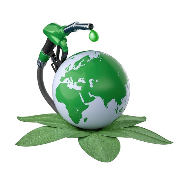 Qu'est-ce que la biomasse et comment la transformer en énergie ?