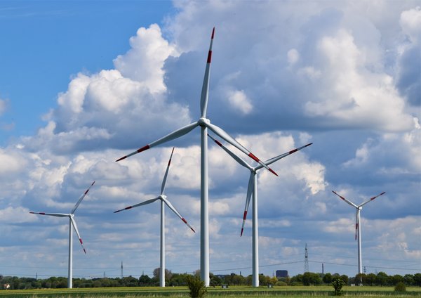 Quels sont les exemples de réussite et de bonnes pratiques en matière de transition énergétique dans le monde ?
