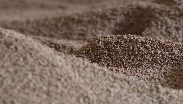 La biomasse, qu'est-ce que c'est ?